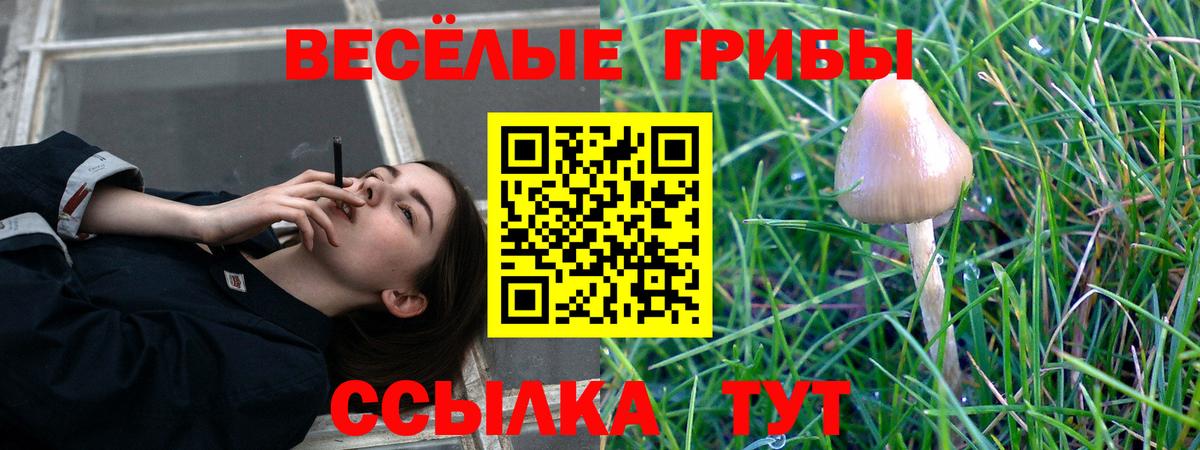 Галлюциногенные грибы Magic Shrooms Волжский