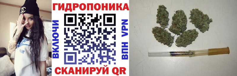 Конопля марихуана  сколько стоит  Волжский 